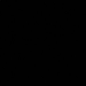 Meet your Posher, Jaden